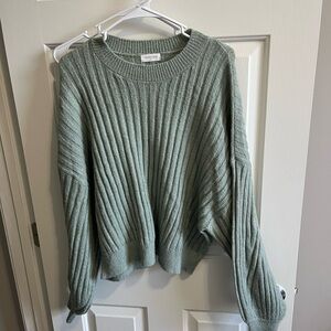 Sophie Rue Textured Knit Sweater in Light Green